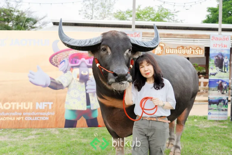 "บิทคับ เวนเจอร์ส - เจ้าทุย - ซีพีเอฟ" จับมือเปิดตัวอาหารควายสูตรใหม่ พาควายไทยพัฒนาไปสู่ระดับสากล