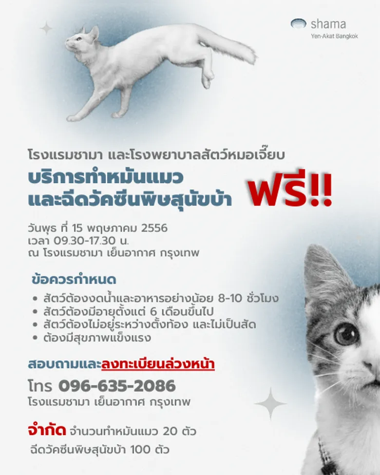 Shama Yen-Akat Bangkok โรงแรม Pet Friendly ย่านสาทร เล็งเห็นปัญหาสัตว์ไร้บ้าน เปิดโครงการ "Shama อาสา ทำหมันแมวและฉีดวัคซีนพิษสุนัขบ้าฟรี" ให้แก่ชุมชนในพื้นที่ใกล้เคียง