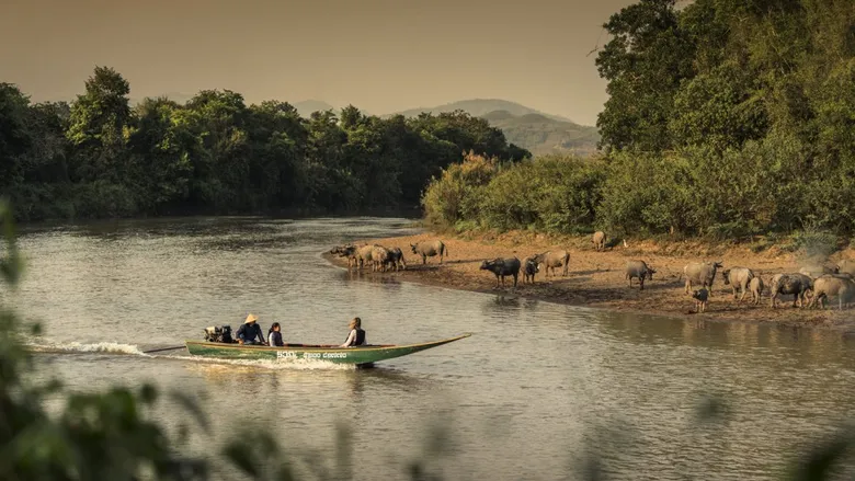 EXPLORING THE BEST ACTIVITIES FOR YOUTH IN THE GOLDEN TRIANGLE