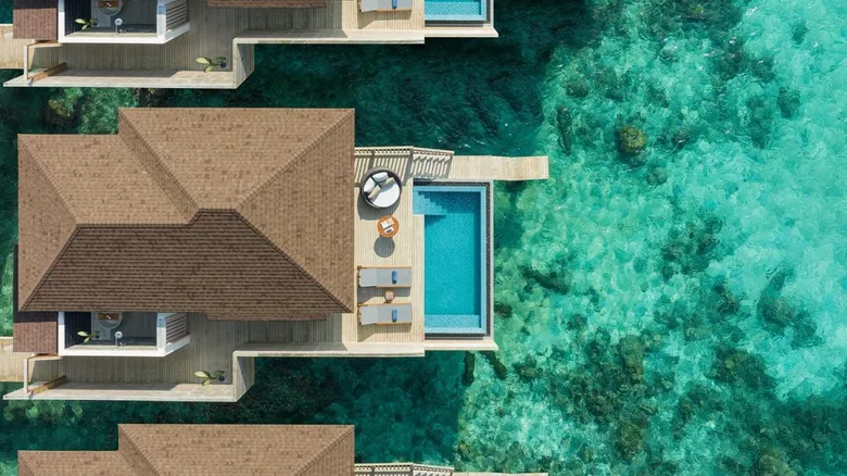Ballet in Baa: Karis Scarlette's Dance & Wellness Retreat Returns to Avani+ Fares Maldives Resort