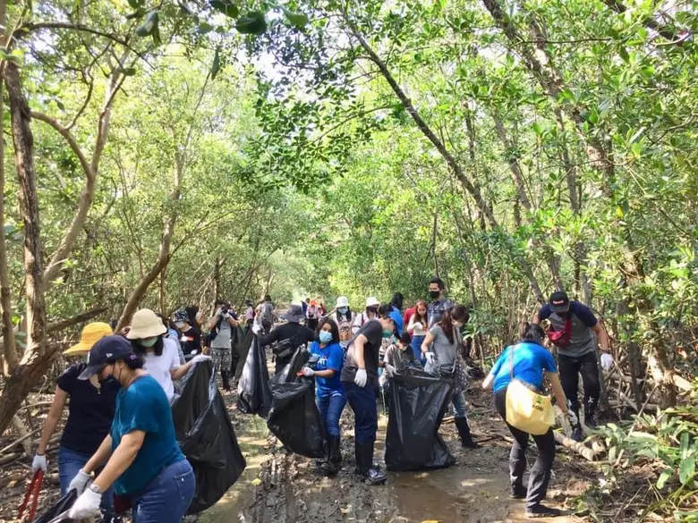 CP Foods Commits to Biodiversity Protection on National Mangrove Forest Day