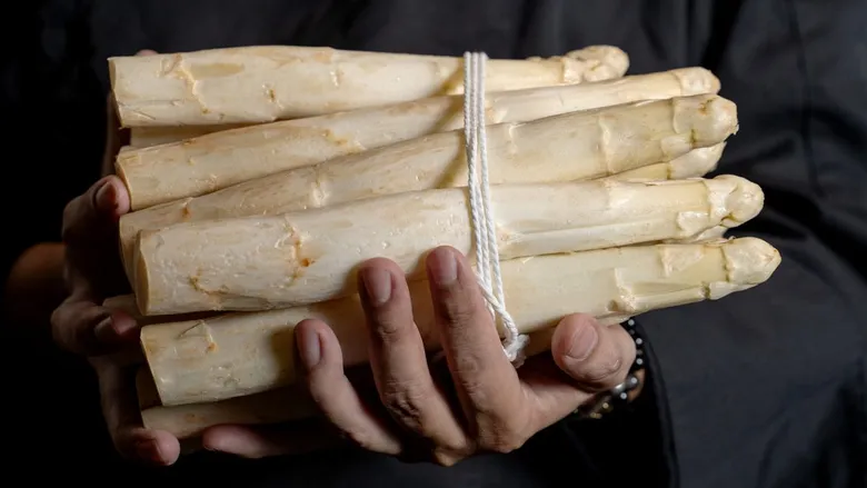 AT OTTO ITALIAN RESTAURANT, SOUTH ITALY SPRING & WHITE ASPARAGUS INSPIRED A NEW FIVE MENUS