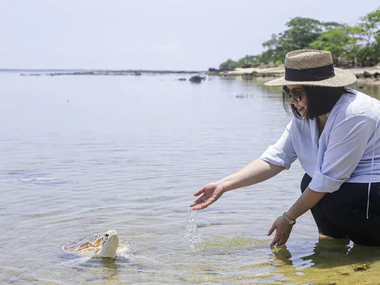 MASON Releases Turtles to Mark "World Turtle Day" for a 3rd Consecutive Year Reiterating MASON BETTER TOGETHER - GIVING TOGETHER Concept