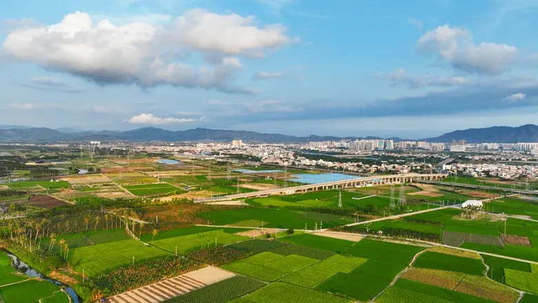 China Sanya's Yazhou Bay Science and Technology City Actively Expanding Agricultural "Friends Circle"