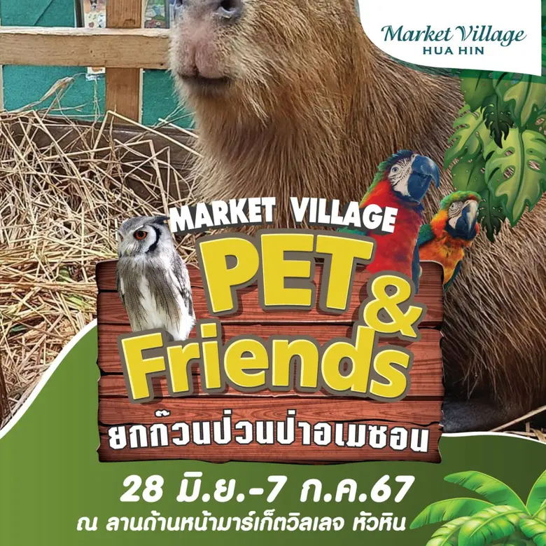 Market Village X Pet & Friends 2024
