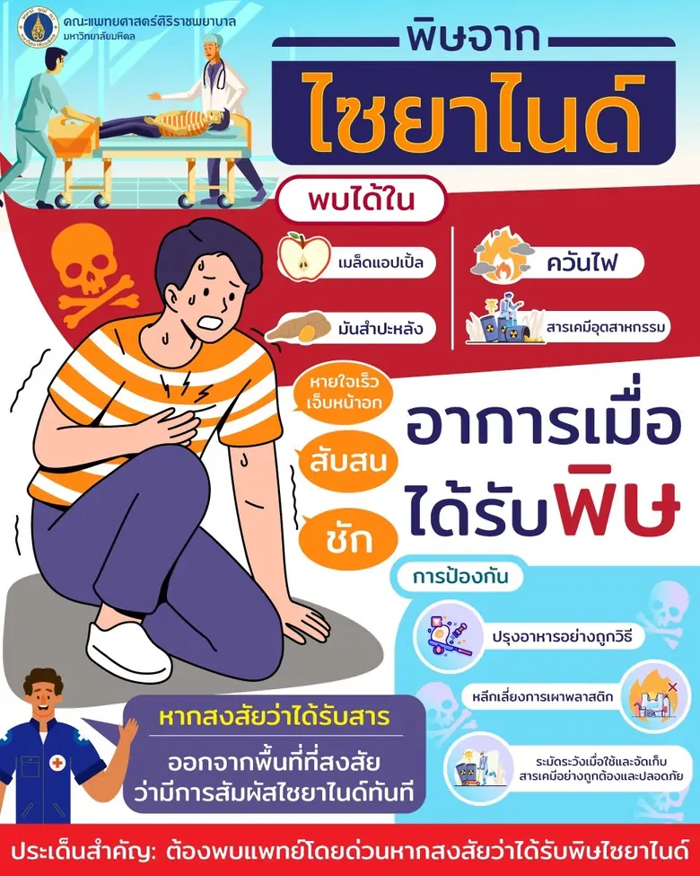 แหล่งที่พบ : เมล็ดแอปเปิ้ล มันสำปะหลัง คว...