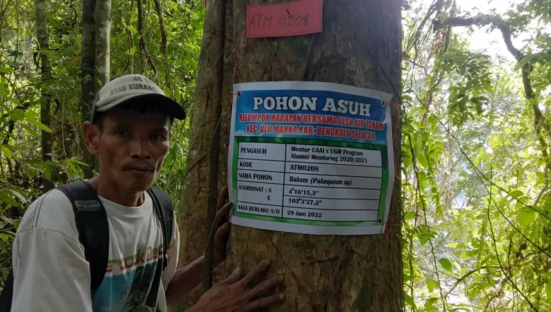 Strengthening Thailand's Forest Protection through Innovative Fiscal Mechanisms and Policies