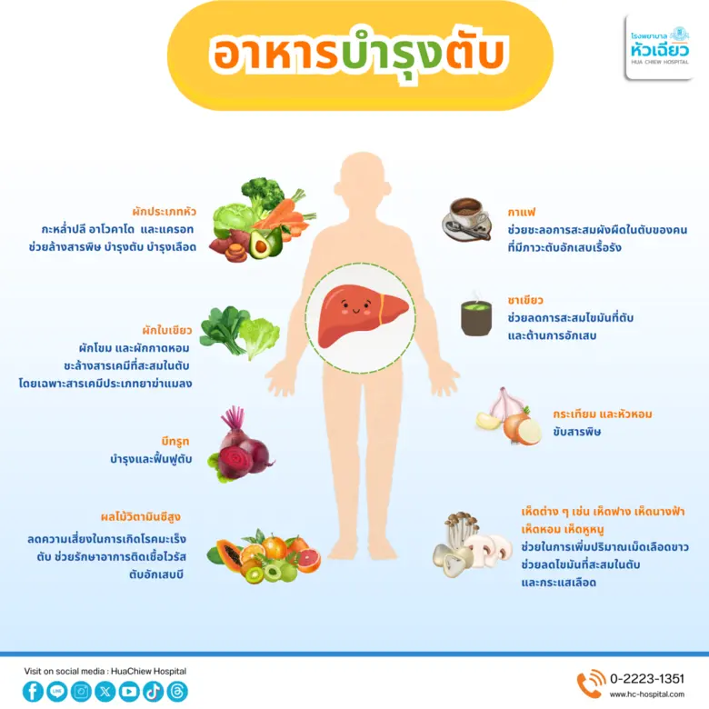 ตับ มีหน้าที่สำคัญ ทำหน้าที่กำจัดสารพิษใน...