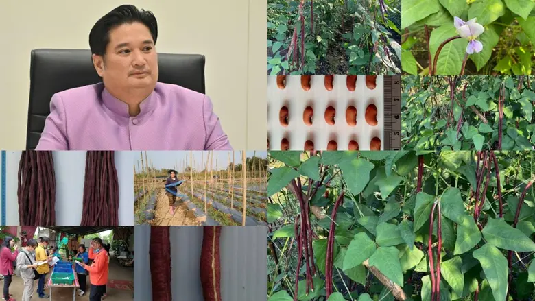 นายรพีภัทร์ จันทรศรีวงศ์ อธิบดีกรมวิชาการ...