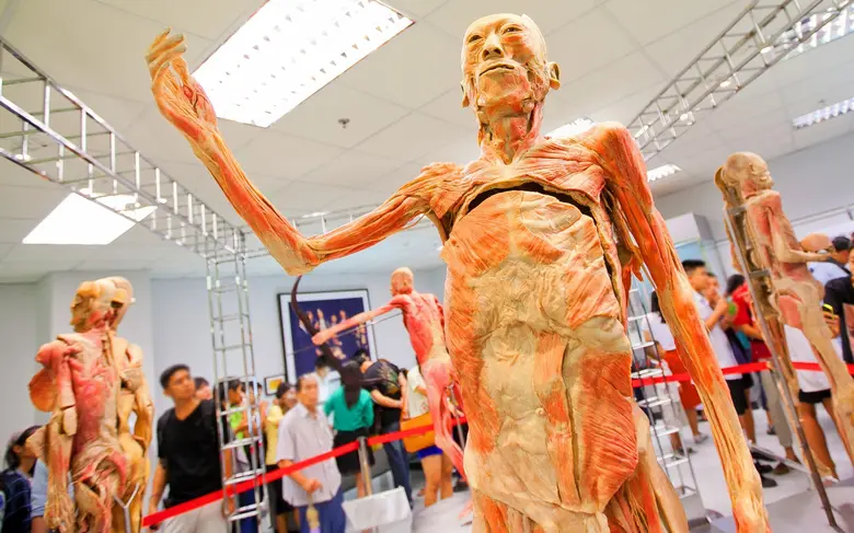 An Outing at Chula? Architecture, Museums, and Music Await