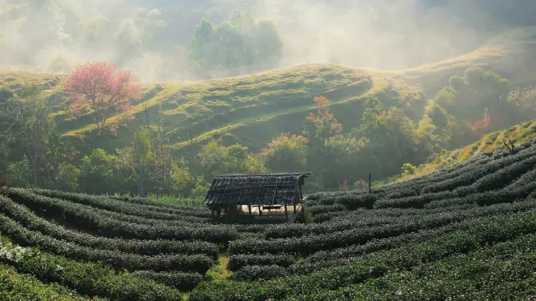 Immersive nature, wellness and adventure ...