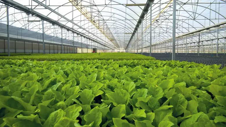Promoting sustainability through reduced ...