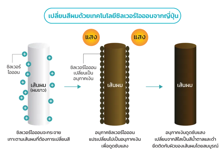 “ภูมิพฤกษา” เปิดตัว แคมเปญผลิตภัณฑ์ใหม่ “ผมหิวแสง”