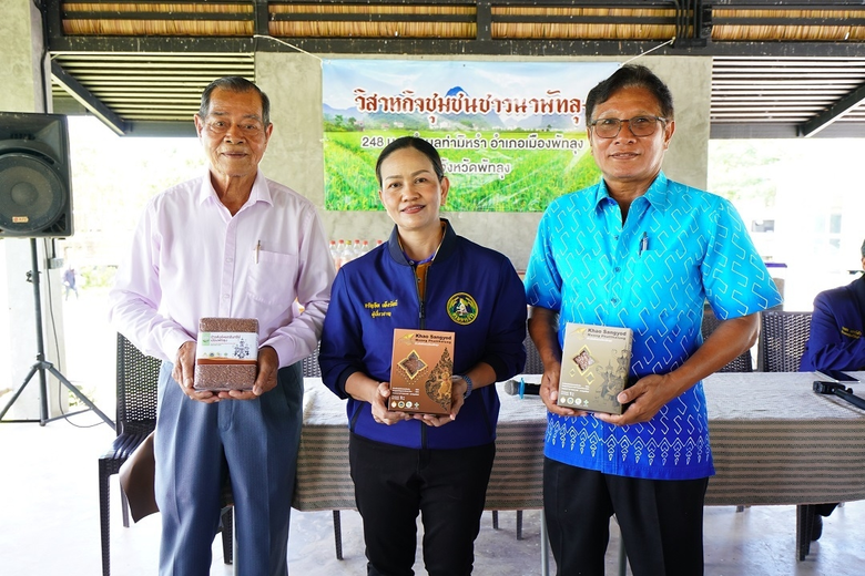 "กรมการข้าว" เพิ่มความยั่งยืนการแข่งขันข้าวไทยด้วย ...