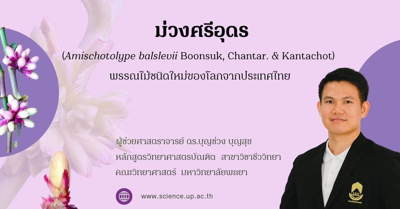 ประเทศไทยตั้งอยู่ในเขตร้อน มีความหลากหลาย...
