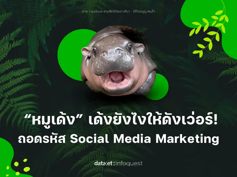 "หมูเด้ง" ฮิปโปเซเลปจากสวนสัตว์เปิดเขาเขี...
