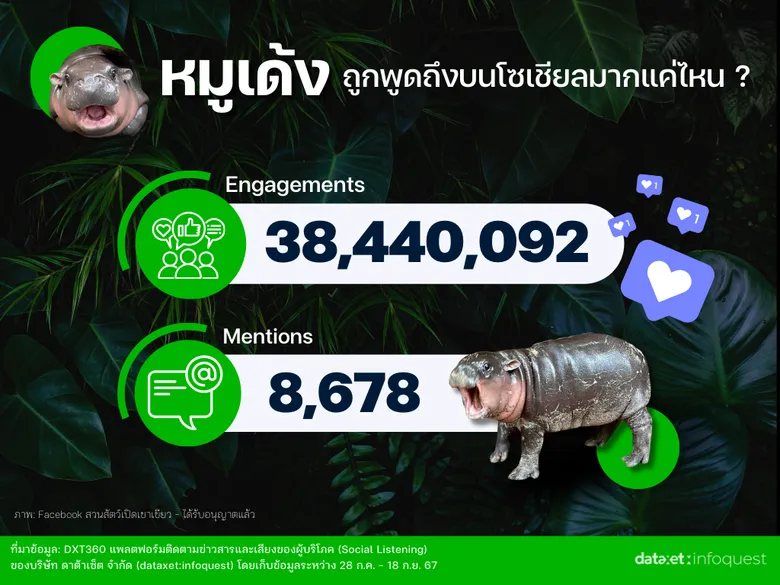 "หมูเด้ง" เด้งยังไงให้ดังเว่อร์! ถอดรหัส Social Media Marketing