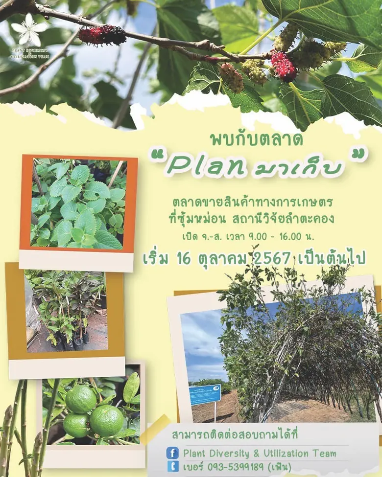 กระทรวงการอุดมศึกษา วิทยาศาสตร์ วิจัยและน...