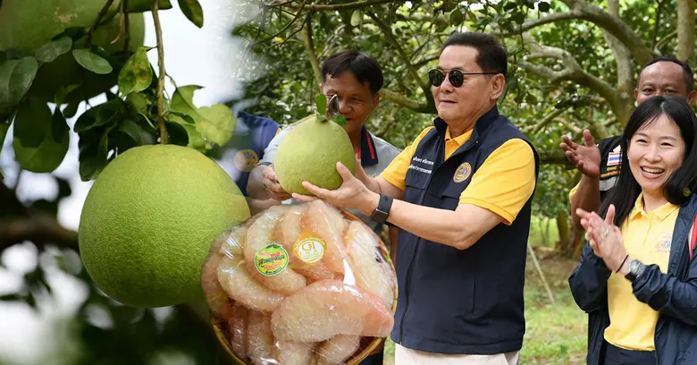 นายนภินทร ศรีสรรพางค์ รัฐมนตรีช่วยว่าการก...