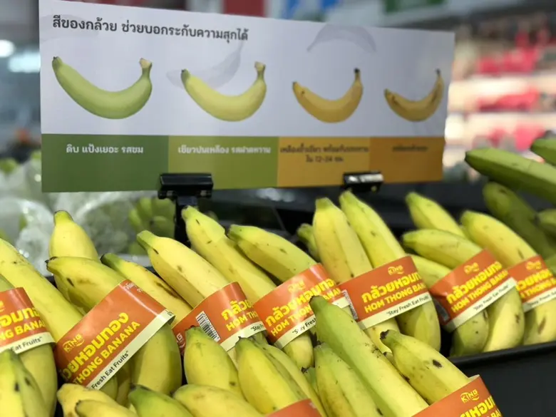 วิกฤติโลกร้อนที่เกิดขึ้น ทำให้คนทั้งโลกตื...