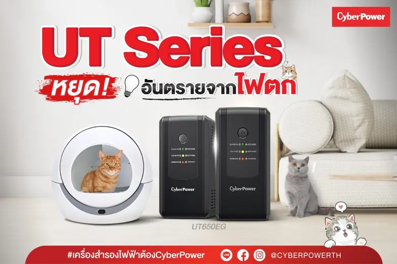 ทาสแมวหลาย ๆ คนก็คงอยากหาสิ่งที่ดีที่สุดใ...