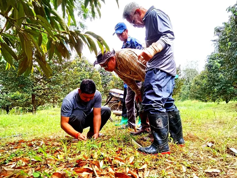 สถาบันส่งเสริมและพัฒนากิจกรรมปิดทองหลังพร...