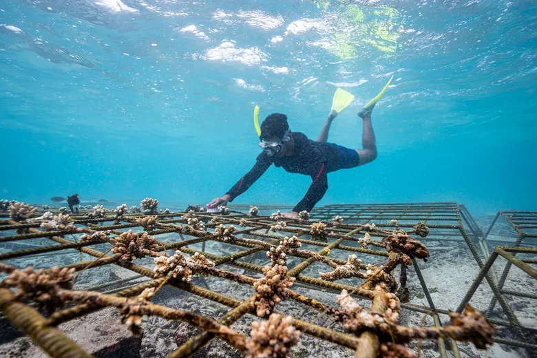 Anantara Iko Mauritius Resort & Villas Unveils its New 'Be Iko' Conservation Initiative