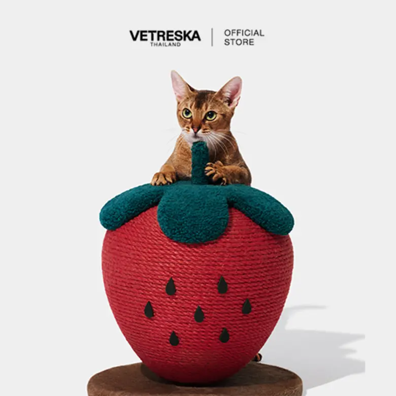 VETRESKA แบรนด์ผู้นำด้านการออกแบบของใช้แล...