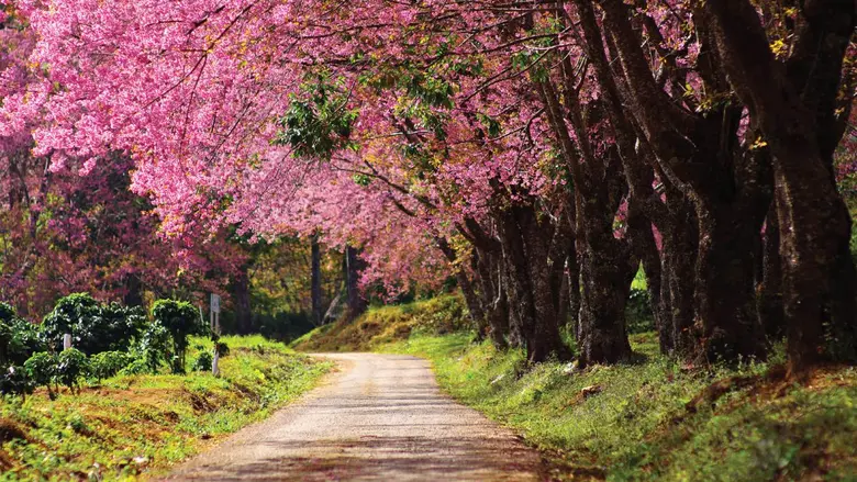With its breathtaking mountainous landsca...
