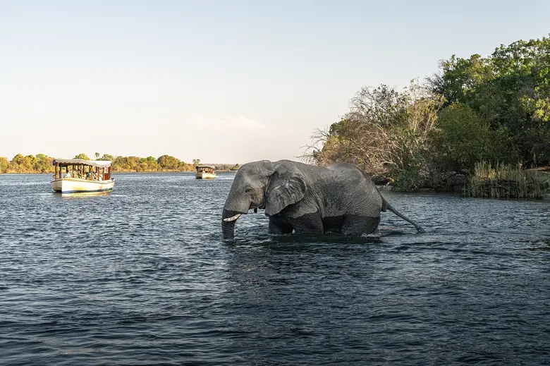 The Royal Livingstone Victoria Falls Zamb...