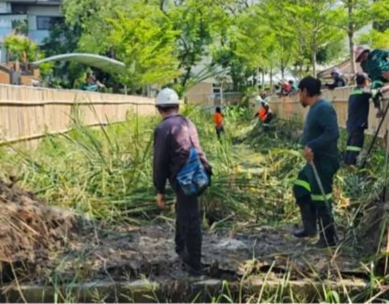 นางสาวสุชิรา ศิลานนท์ ผู้อำนวยการเขตวัฒนา...