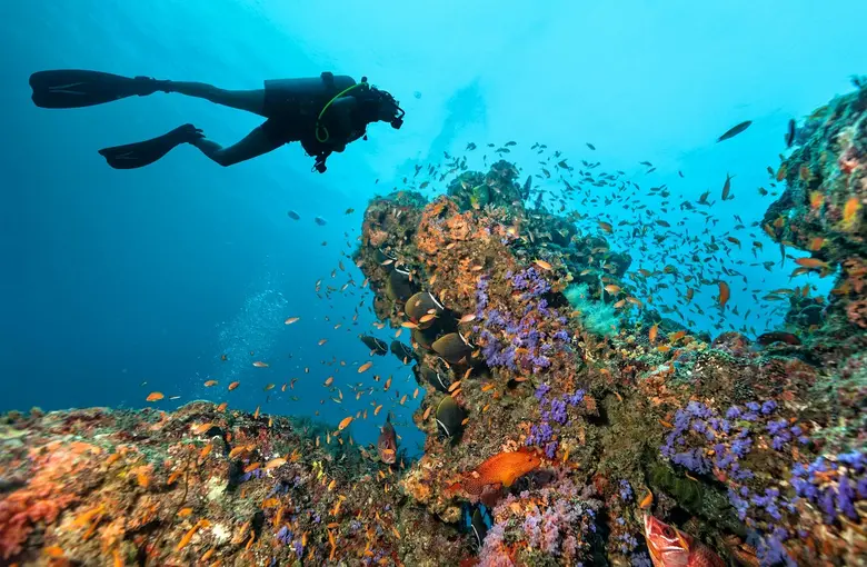 The crystalline waters of South Ari Atoll...