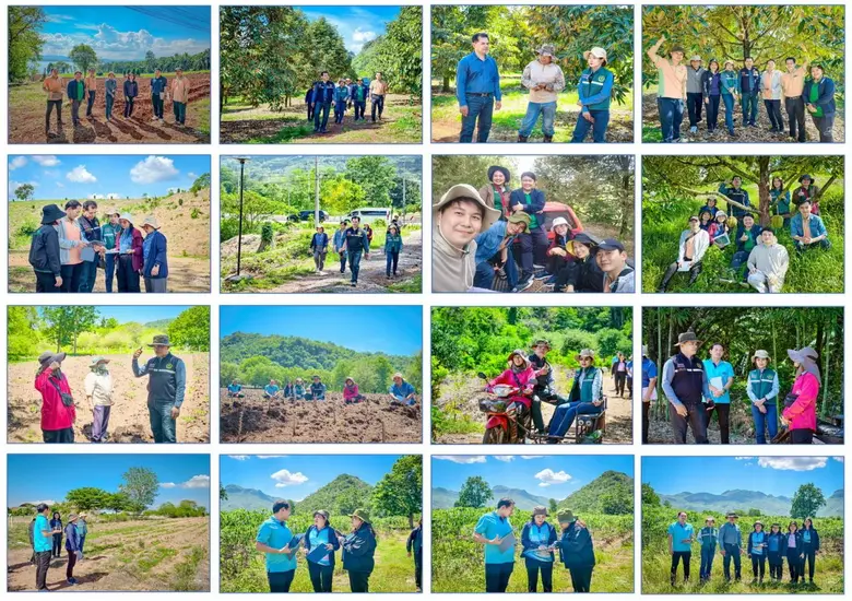 เกษตรเขต 2 ตรวจสอบผลการวาดผังแปลงเกษตรกรรมดิจิทัล พื้นที่ปลูกจริงเทียบกับการวาดผังแปลงเกษตรกรรมดิจิทัล จังหวัดกาญจนบุรี