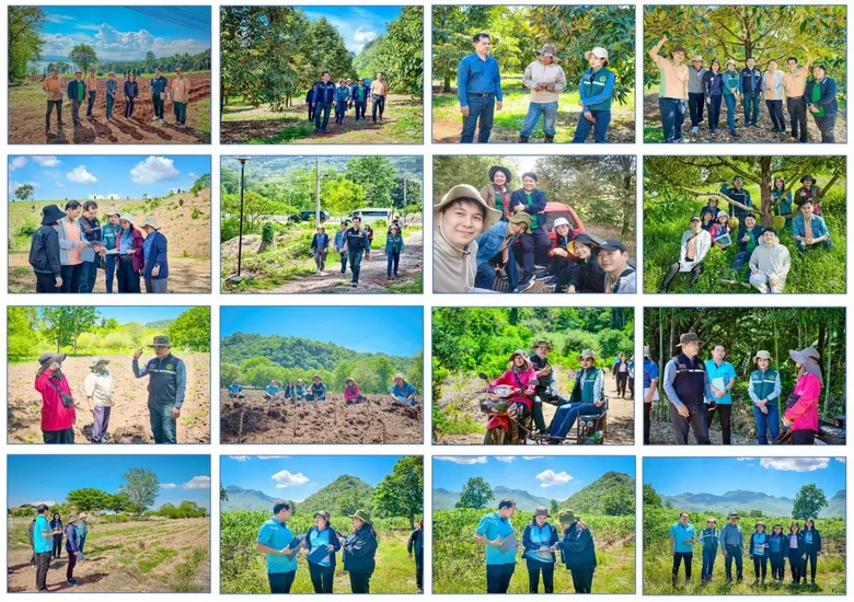 เกษตรเขต 2 ตรวจสอบผลการวาดผังแปลงเกษตรกรรมดิจิทัล พื้นที่ปลูกจริงเทียบกับการวาดผังแปลงเกษตรกรรมดิจิทัล จังหวัดกาญจนบุรี
