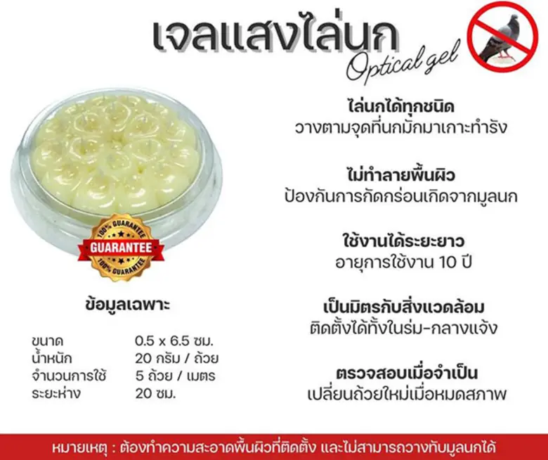 นกพิราบสามารถขยายพันธุ์ออกไปตามพื้นที่ต่า...