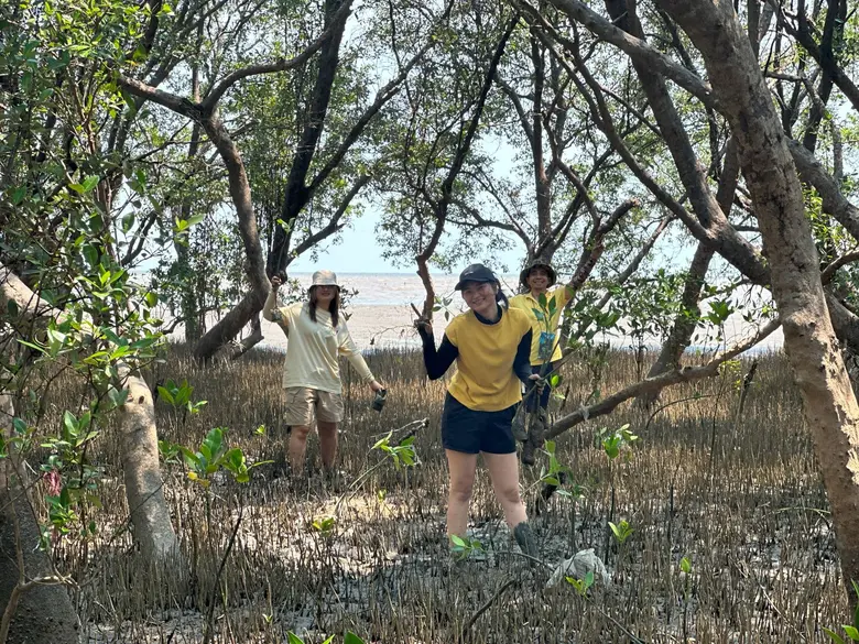 Unithai Group restores Mangrove Ecosystem on Earth ...