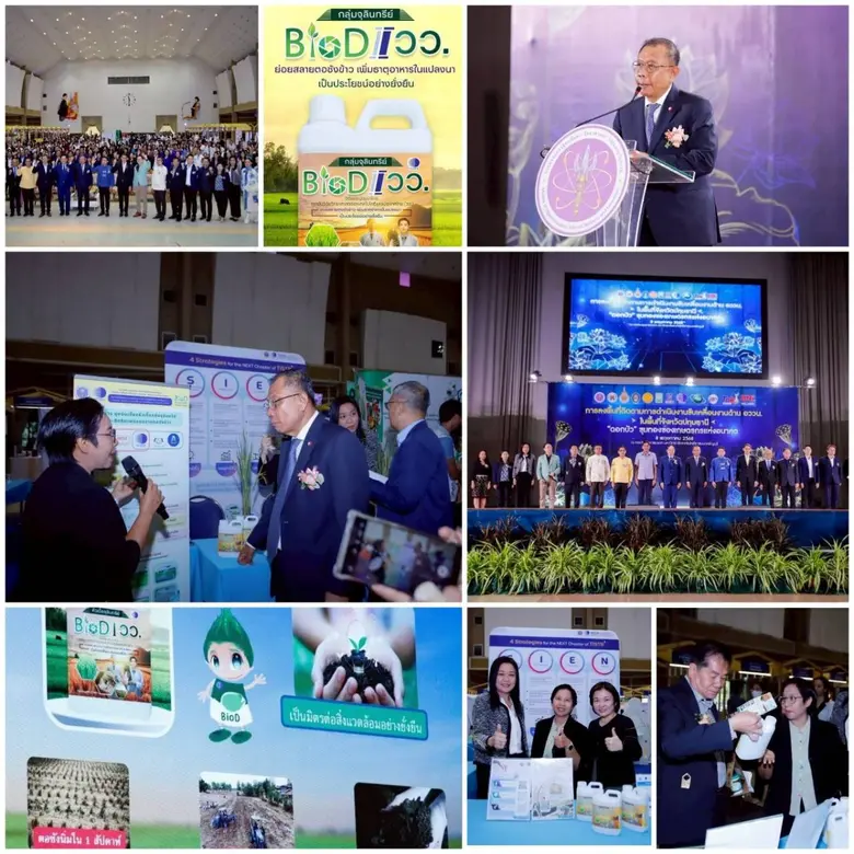 นำเสนอ "จุลินทรีย์ BioD I วว." ย่อยสลายตอซังข้าว ลด...