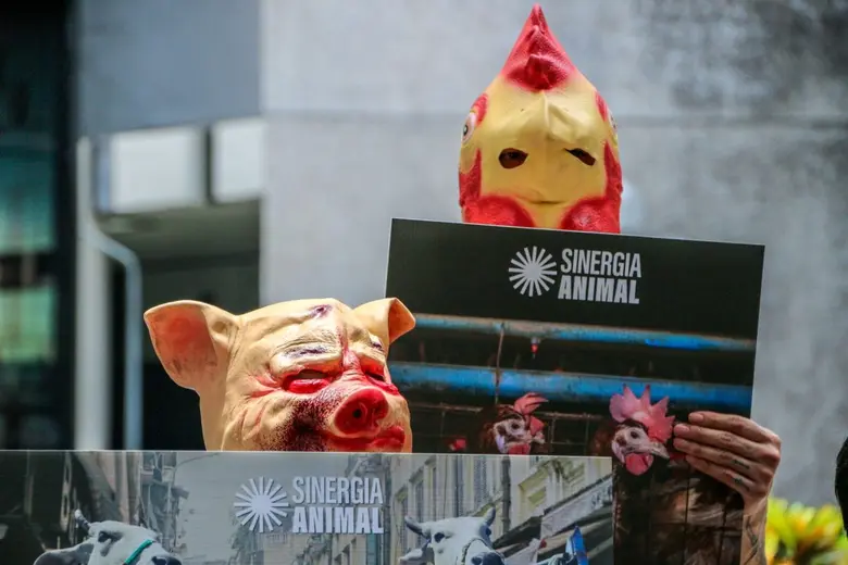 ซิเนอร์เจีย แอนนิมอล (Sinergia Animal) อง...