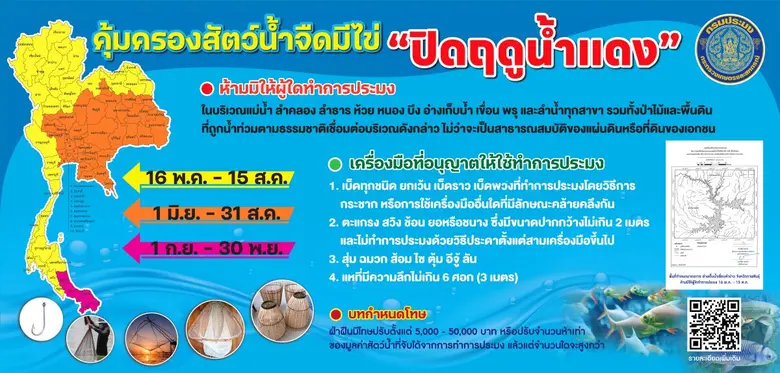 นายบัญชา สุขแก้ว อธิบดีกรมประมง เปิดเผยว่...