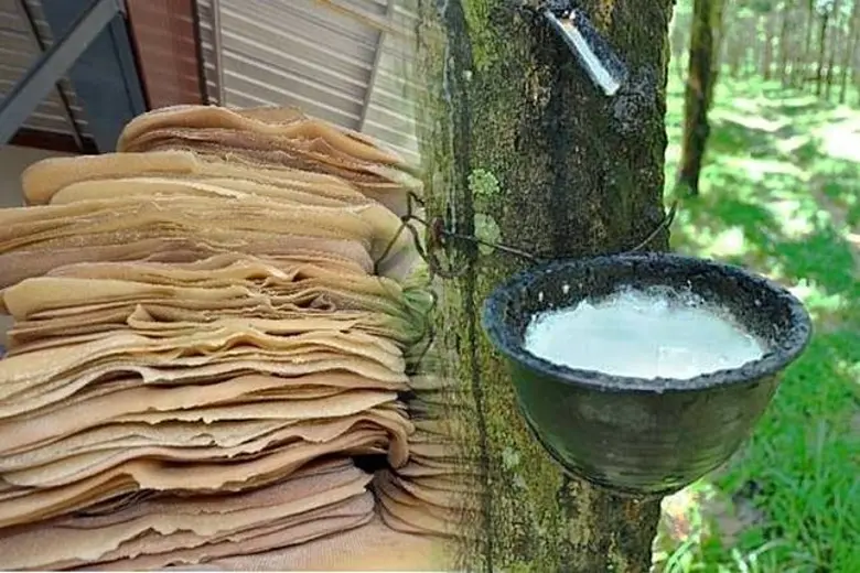 นายฉันทานนท์ วรรณเขจร เลขาธิการสำนักงานเศ...