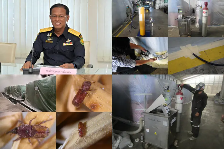 กรมวิชาการเกษตร แนะใช้สารรมอีโคฟูม และสาร...