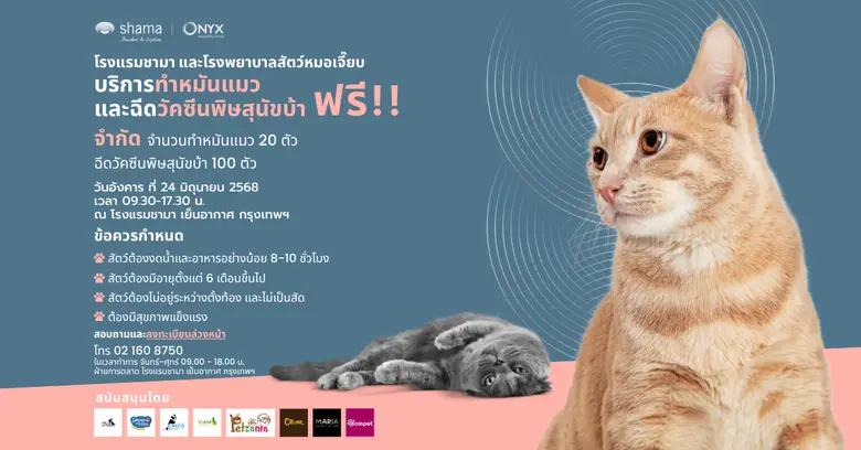 Shama Yen-Akat Bangkok โรงแรม Pet Friendl...
