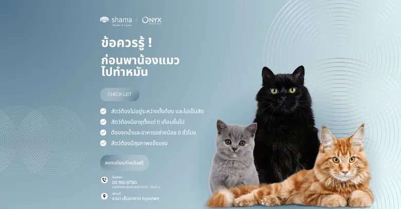 Shama Yen-Akat Bangkok โรงแรม Pet Friendly ย่านสาทร เล็งเห็นปัญหาสัตว์ไร้บ้าน สานต่อโครงการ "Shama อาสา ทำหมันแมวและฉีดวัคซีนพิษสุนัขบ้าฟรี" ปีที่ 3