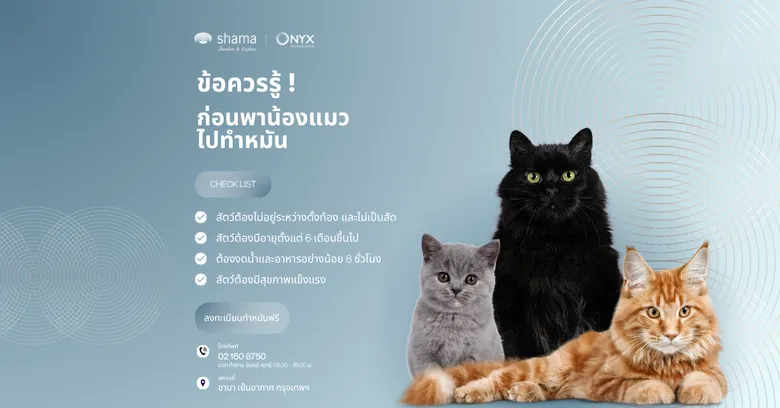 Shama Yen-Akat Bangkok โรงแรม Pet Friendly ย่านสาทร เล็งเห็นปัญหาสัตว์ไร้บ้าน สานต่อโครงการ "Shama อาสา ทำหมันแมวและฉีดวัคซีนพิษสุนัขบ้าฟรี" ปีที่ 3