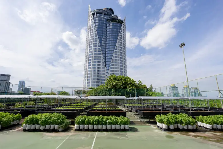 โรงแรมเซ็นทาราแกรนด์ เซ็นทรัลเวิลด์ เปิดตัวสวนผักออร์แกนิค From Rooftop Farm to Table ยกระดับมื้ออาหารอย่างยั่งยืน เสิร์ฟความสดใหม่จากฟาร์ม