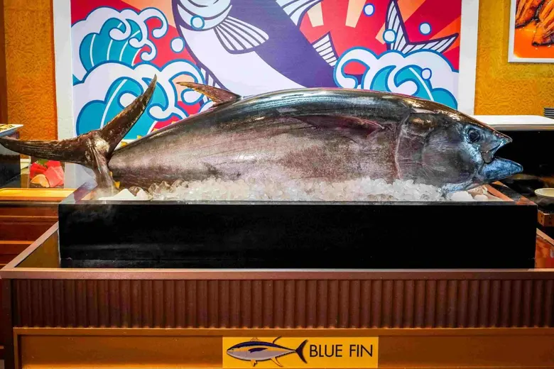 Enjoy a premium experience with "Bluefin ...