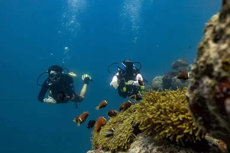 Avani+ Fares Maldives Hosts PADI AWARE Week 2025 to Celebrate Ocean Conservation