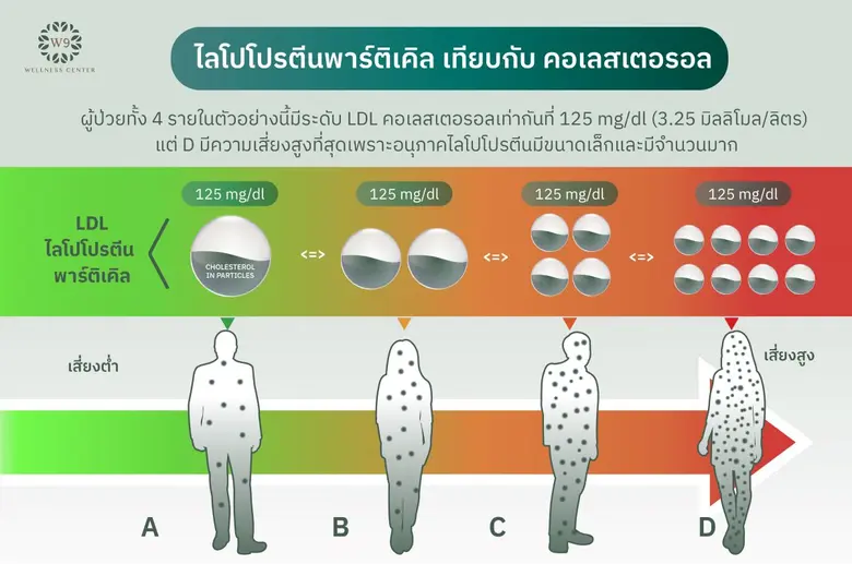 W9 ชวนเปิดมุมมอง วิเคราะห์ไขมันเชิงลึก "ถอดรหัสไขมัน" แนะทางเลือกธรรมชาติ เพื่อสุขภาพหัวใจที่ยั่งยืน