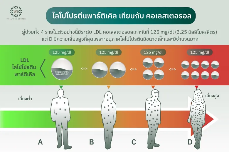 W9 ชวนเปิดมุมมอง วิเคราะห์ไขมันเชิงลึก "ถอดรหัสไขมัน" แนะทางเลือกธรรมชาติ เพื่อสุขภาพหัวใจที่ยั่งยืน