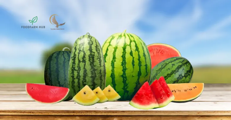 SALABLE FRESH FRUITS, a watermelon farm and Thai wh...